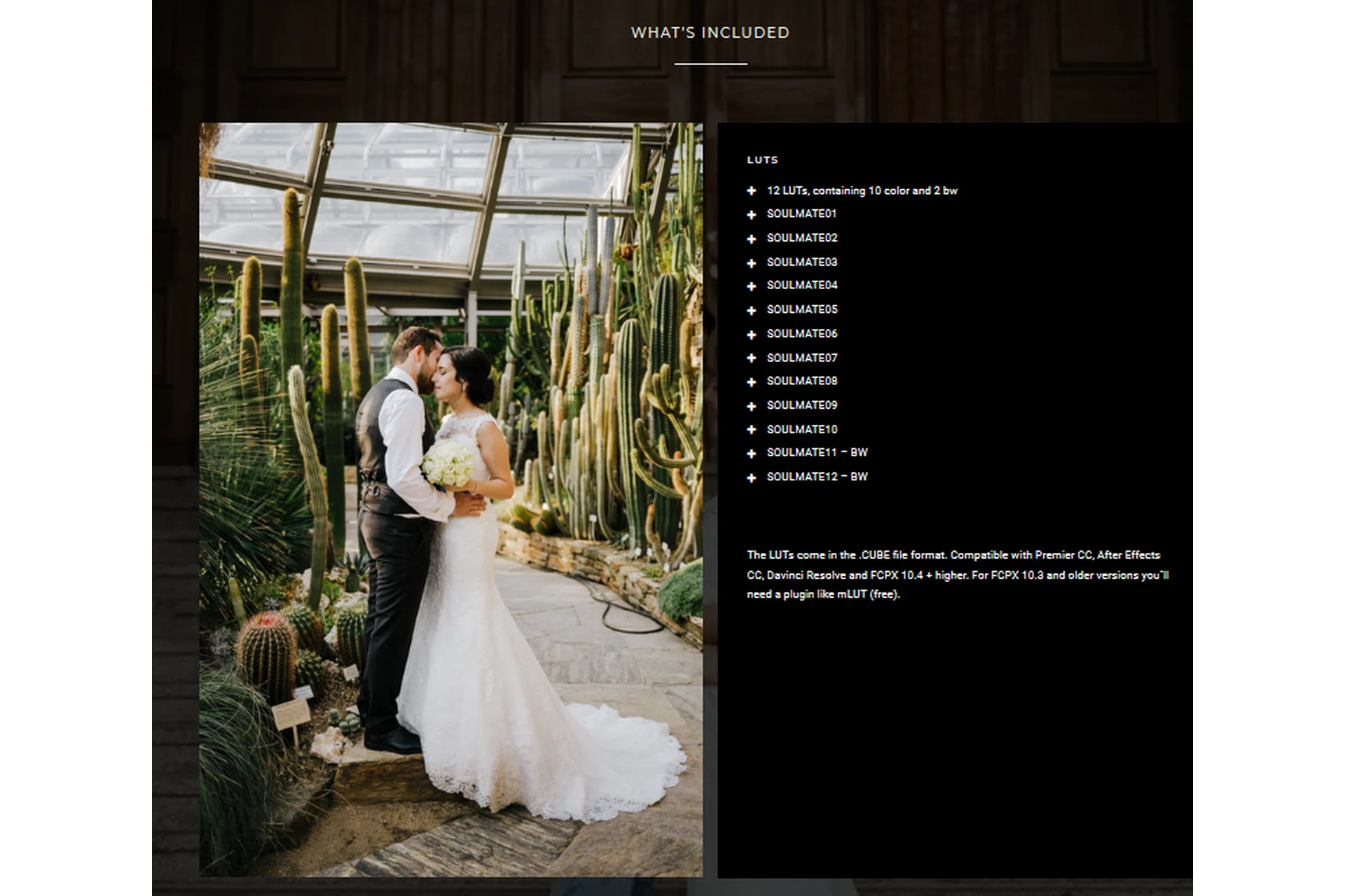 Атмосферные стильные луты Soulmate luts (Sven Malojlo), фото 1 из 1.