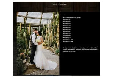 Атмосферные стильные луты Soulmate luts (Sven Malojlo)