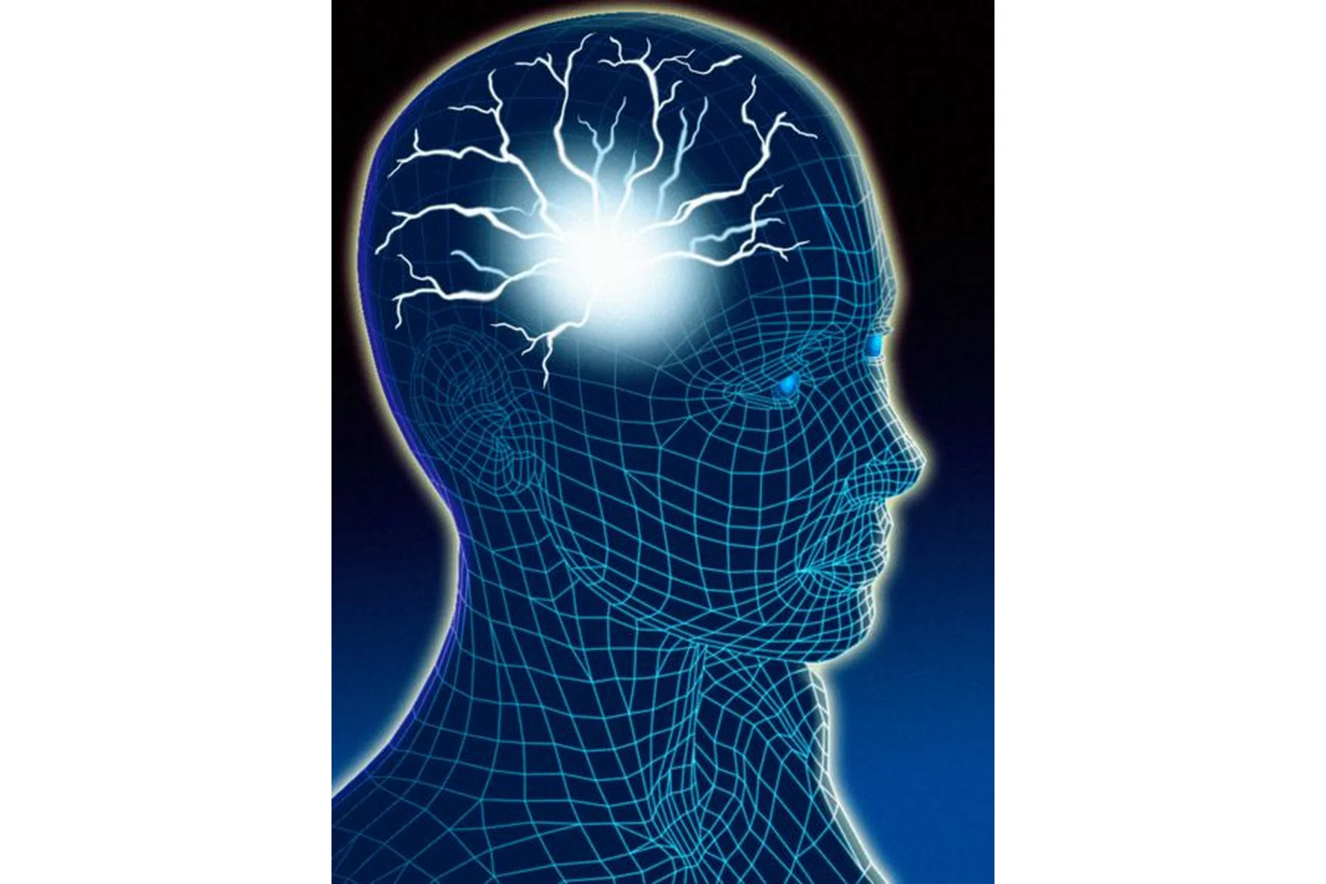 Как улучшить память (Пол Новак), фото 1 из 1.