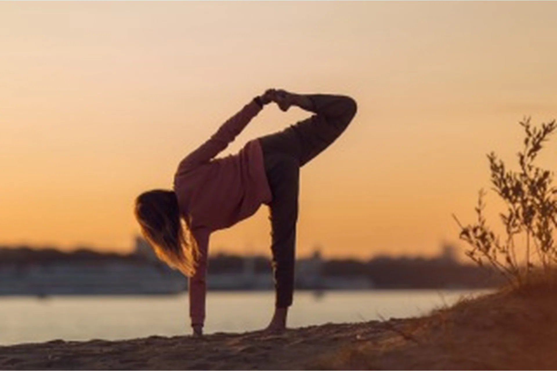 Преподаватель йоги (Ольга Фаерман, Михаил Фаерман), фото 1 из 1.