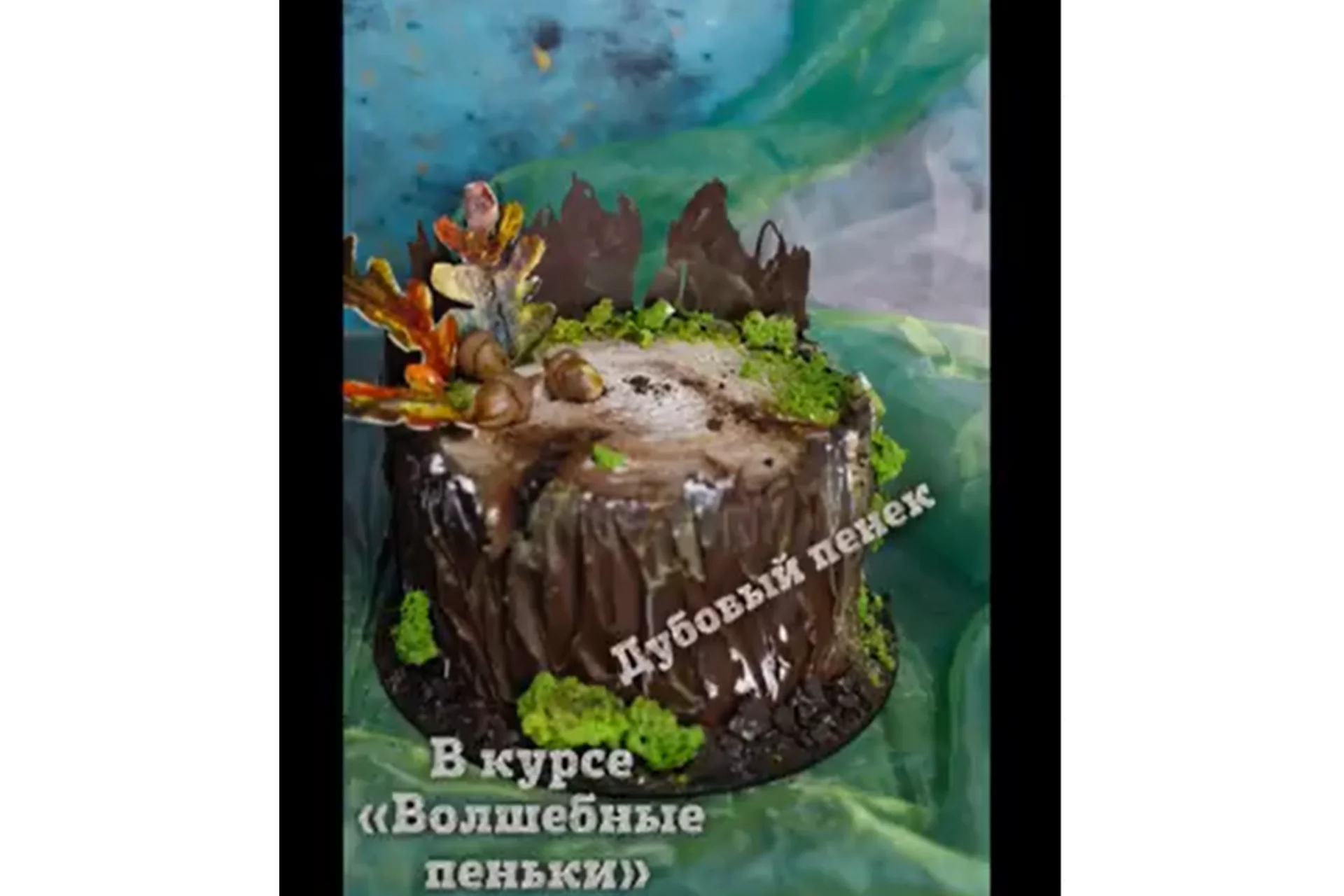 Волшебные пеньки (Наталья Бондаренко), фото 1 из 1.