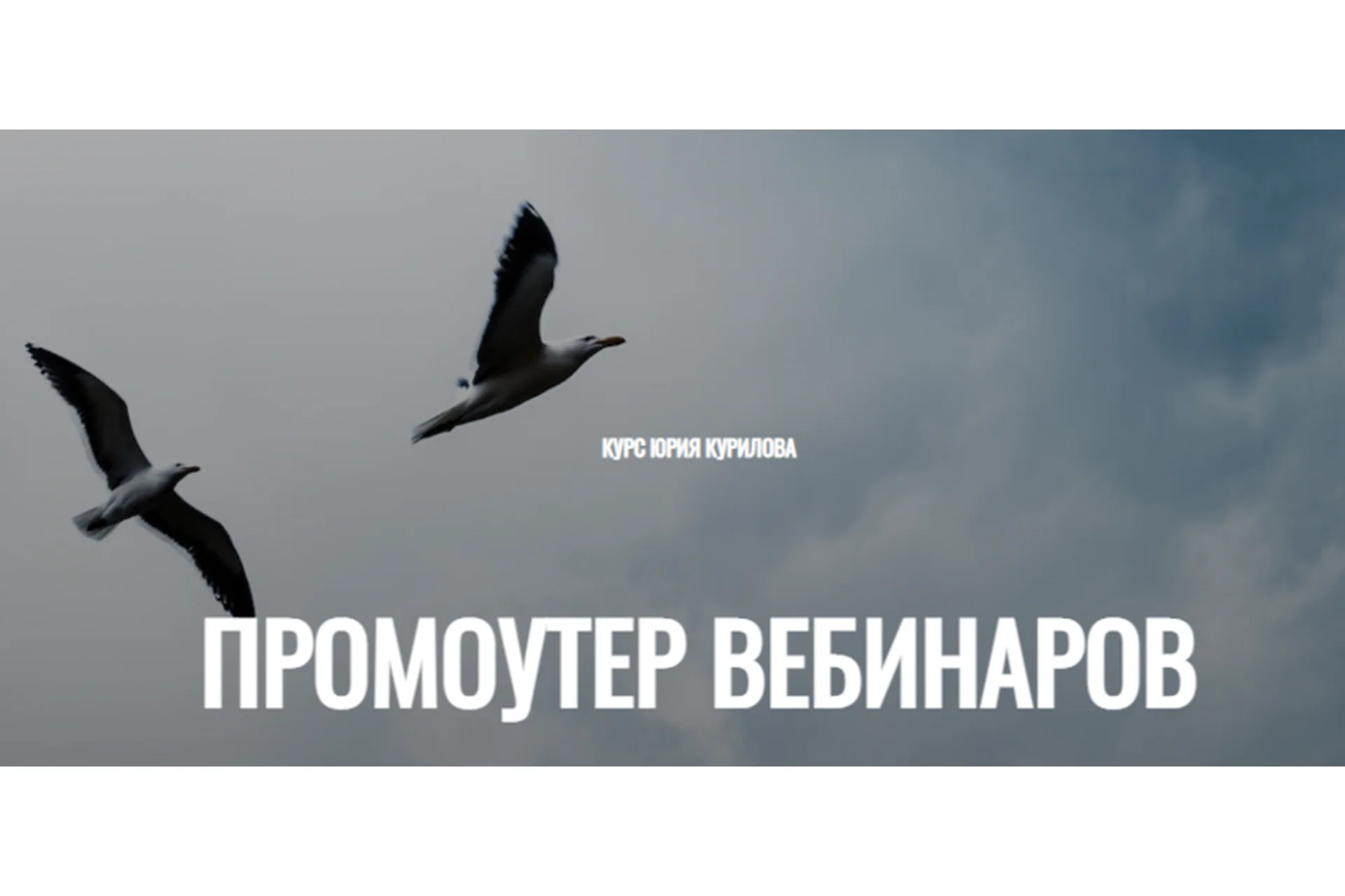 Промоутер вебинаров (Юрий Курилов), фото 1 из 1.