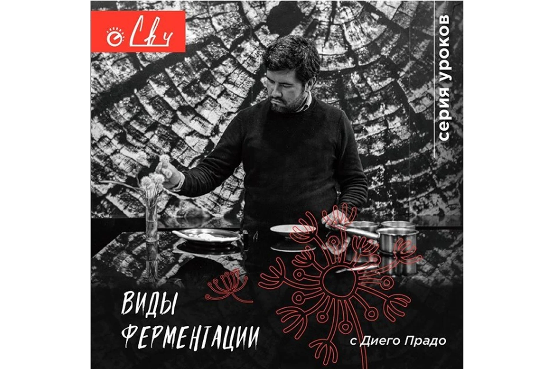 Виды ферментации (Диего Прадо), фото 1 из 1.