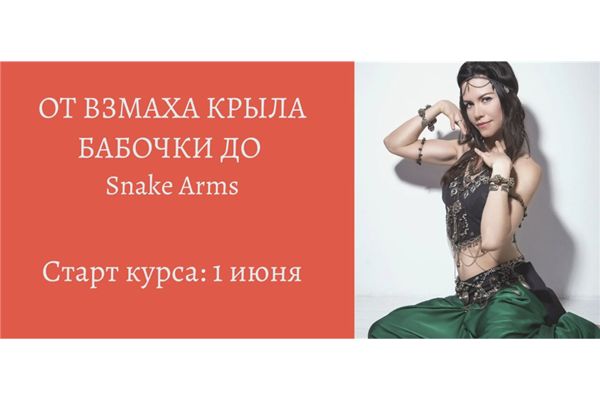 От взмаха крыла бабочки до Snake Arms (Анна Акинцева), фото 1 из 1.