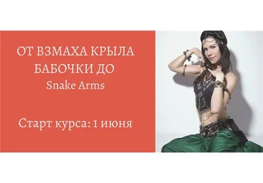 От взмаха крыла бабочки до Snake Arms (Анна Акинцева)