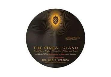 The Pineal Gland: Tuning In to Higher Dimensions of Time and Space (Joe Dispenza)