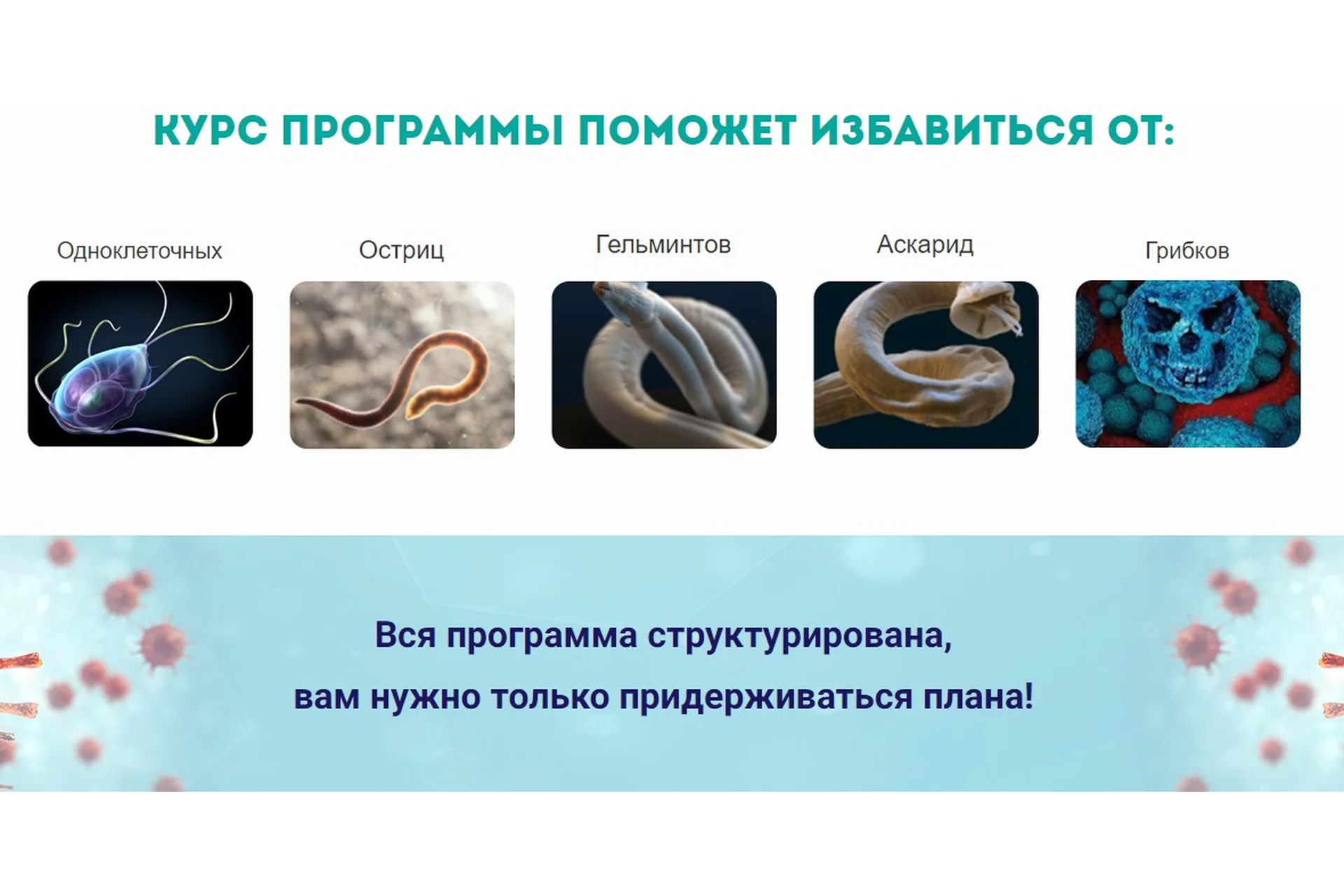 [Urban Queen] Полное антипаразитарное  очищение (Наташа Сведовая), фото 1 из 1.