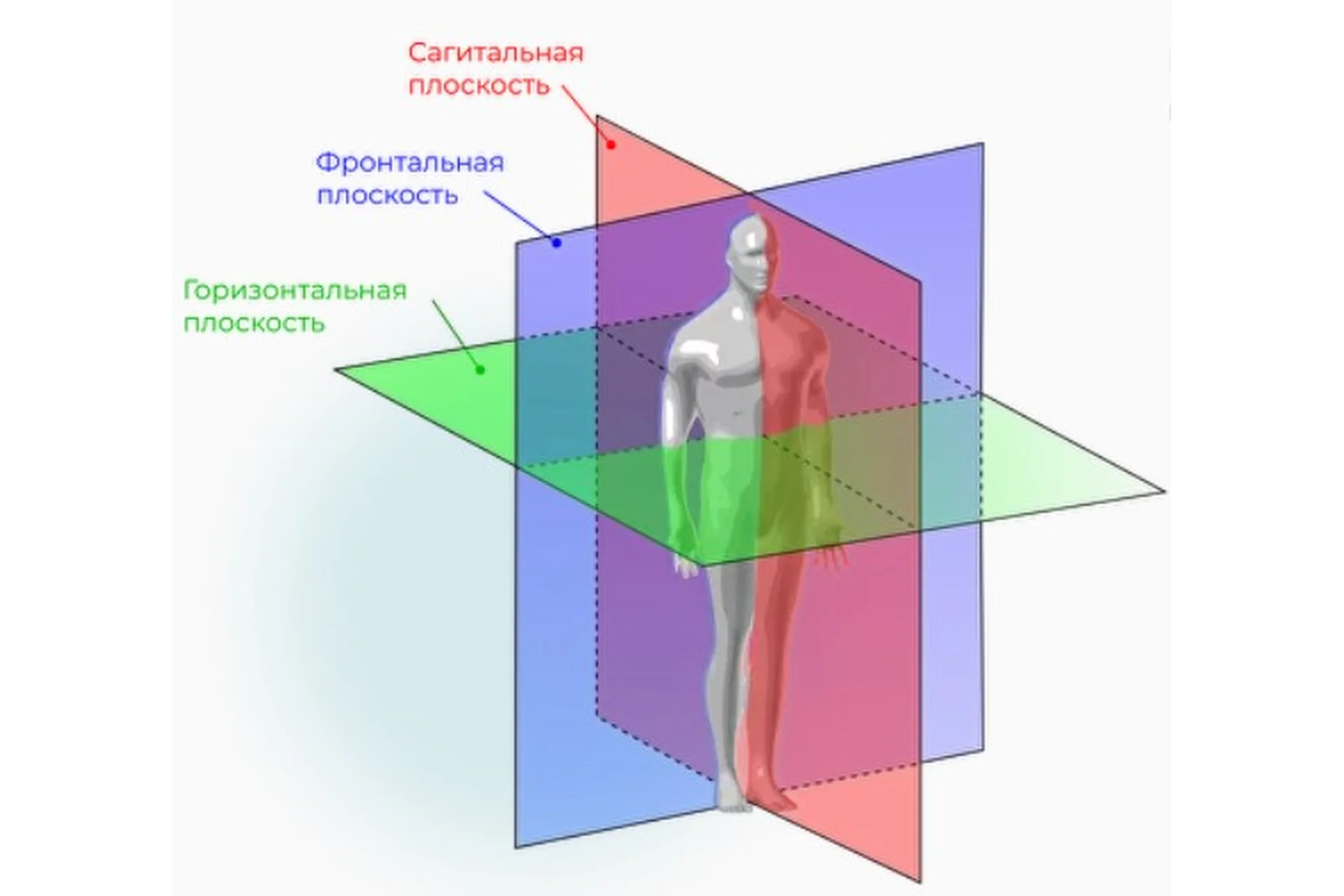 Здоровое вращение, верни вращение суставам и скажи STOP артроз (Евгений Кадлубинский), фото 1 из 1.