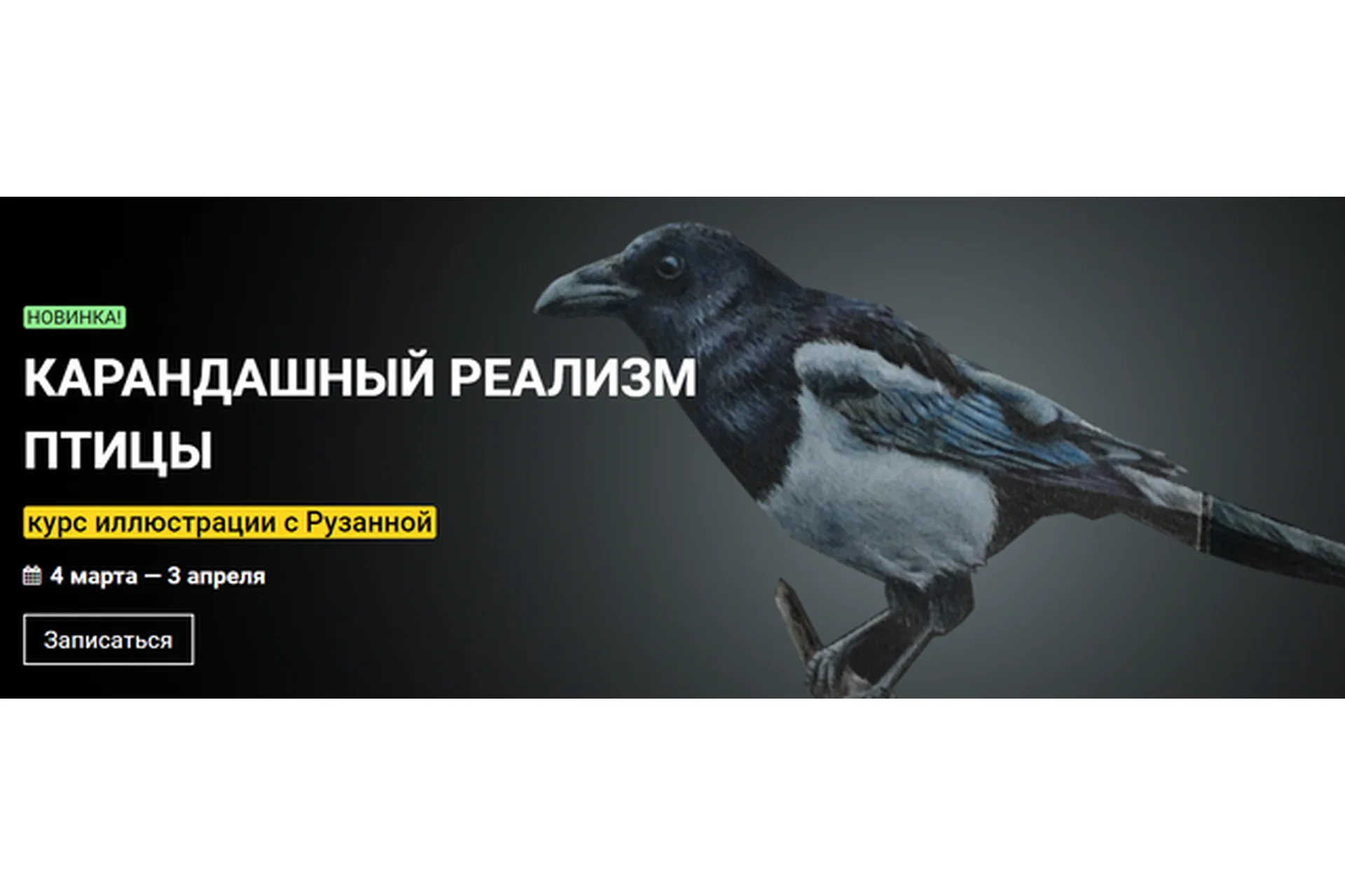 [kalachevaschool] Карандашный реализм. Птицы. Стандарт (Рузанна Айрапетян), фото 1 из 1.
