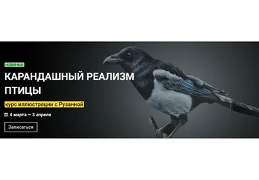 [kalachevaschool] Карандашный реализм. Птицы. Стандарт (Рузанна Айрапетян)