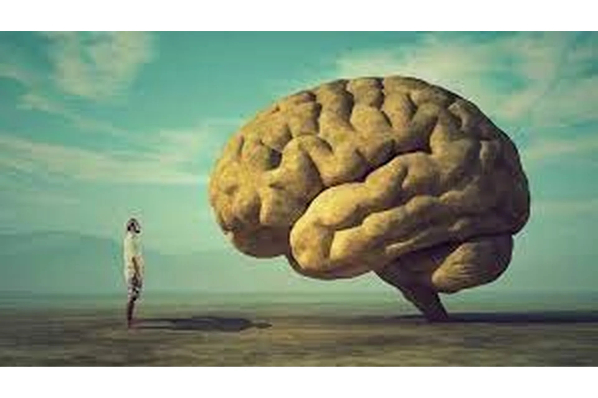 Управление умом (Ольга Фролова), фото 1 из 1.