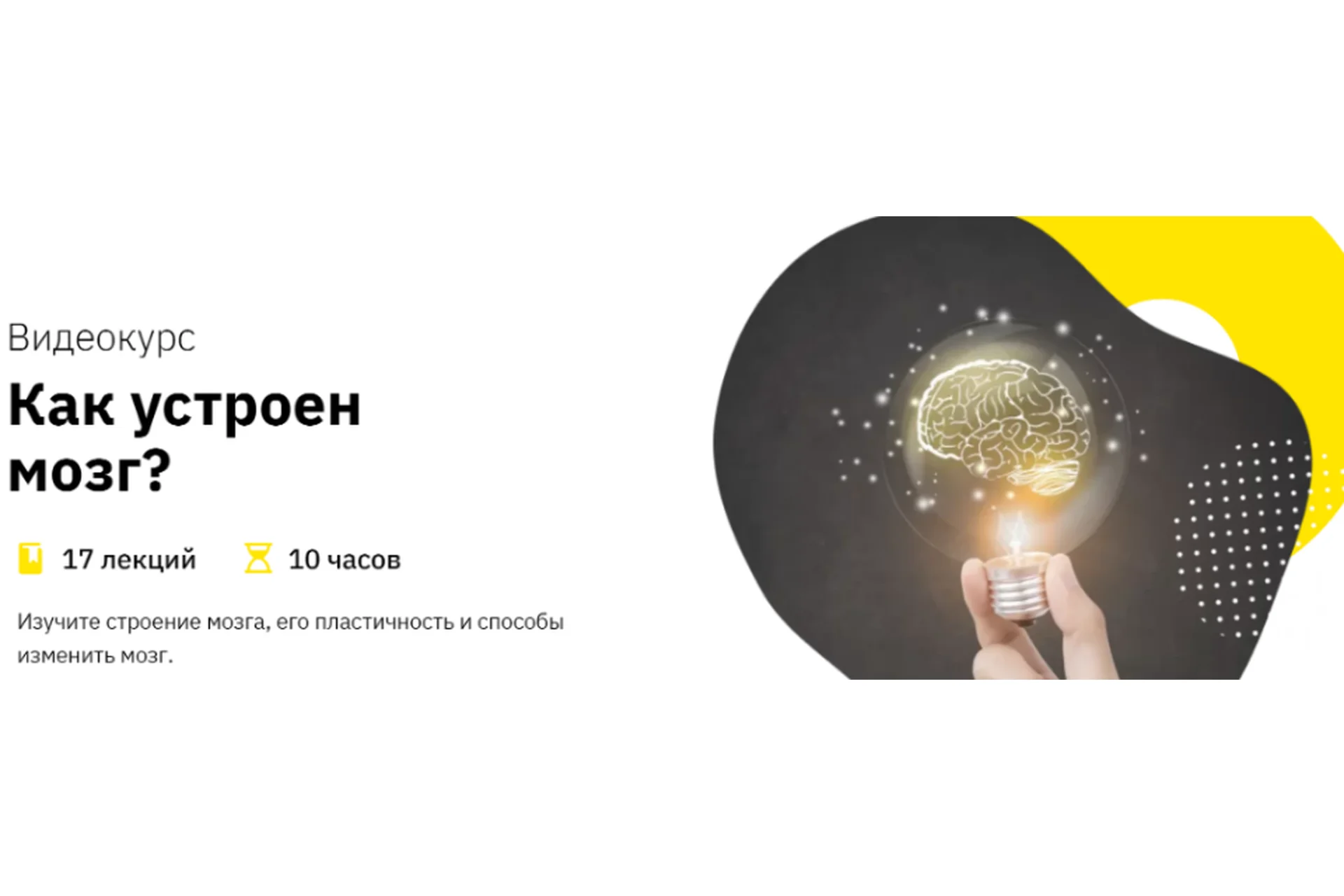 [Правое полушарие интроверта] Как устроен мозг?  (Анастасия Кулькова), фото 1 из 1.