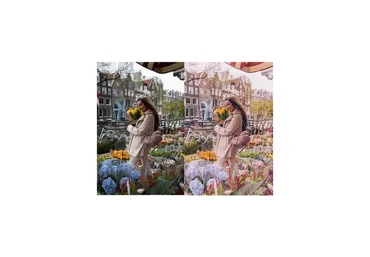 Пресеты Кабанкова и Анюты Рай mobile 2 (Lr DNG)