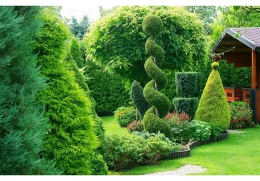 [Ландшафтное бюро] Хвойный Мир. 2 поток (Кристианна Виниченко)