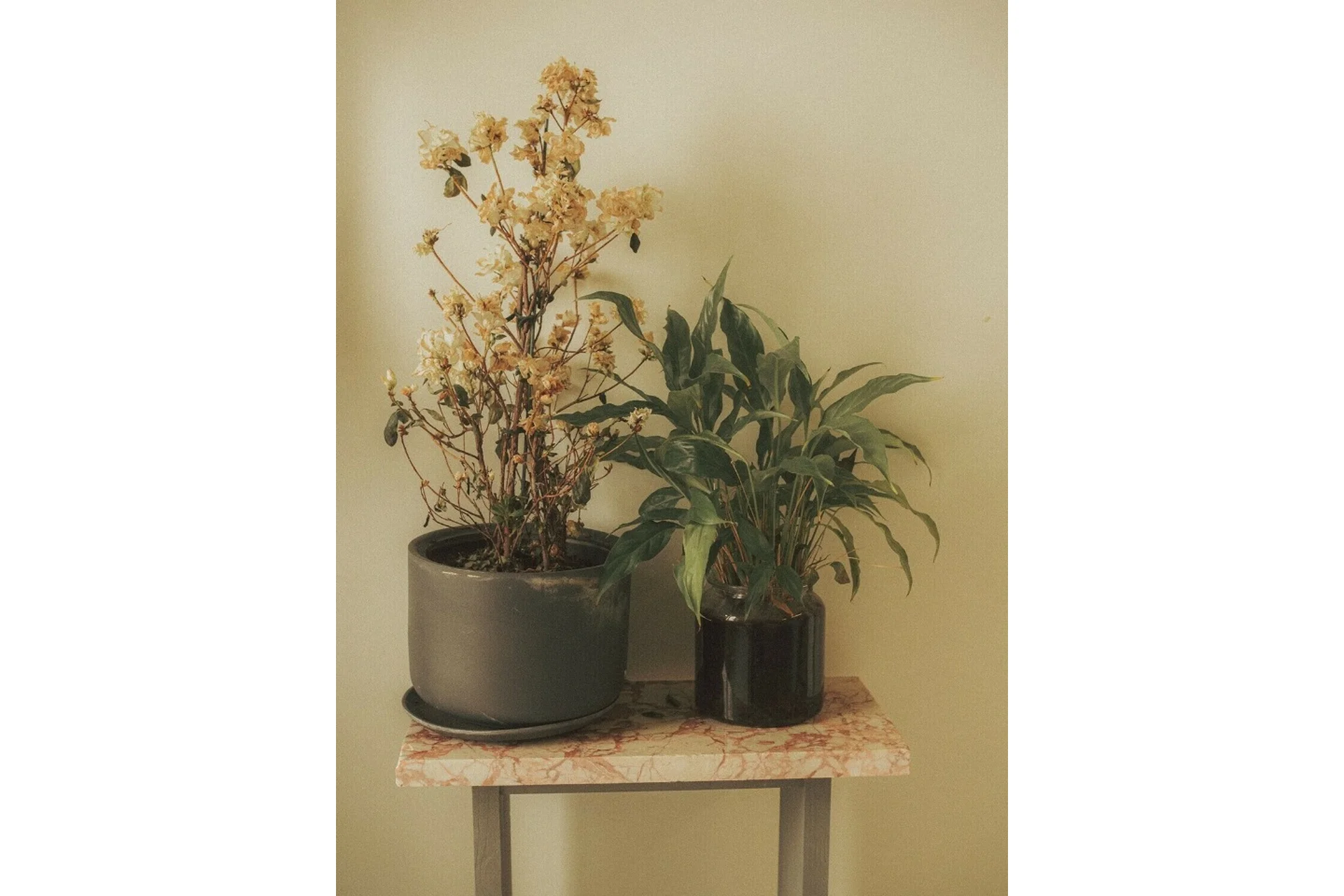 Интерьерные картины в смешанной технике (Александра Федорова), фото 1 из 1.