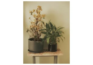 Интерьерные картины в смешанной технике (Александра Федорова)