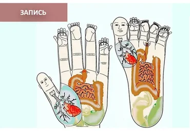 Восточная медицина + программа су-джок на каждый день (Владимир Заворотный)