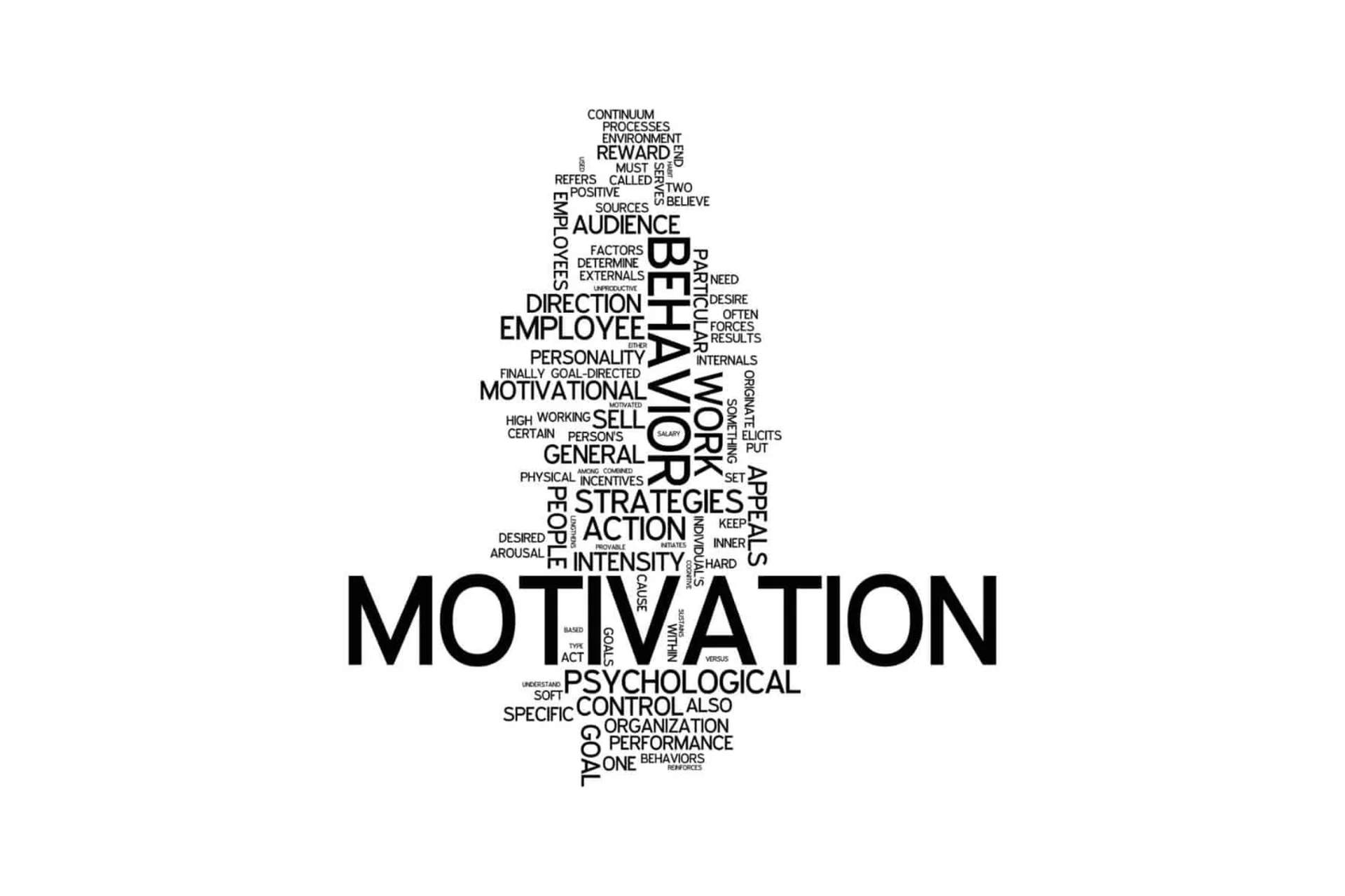 Искусство мотивации и работа с возражениями (Александр Ампир), фото 1 из 1.