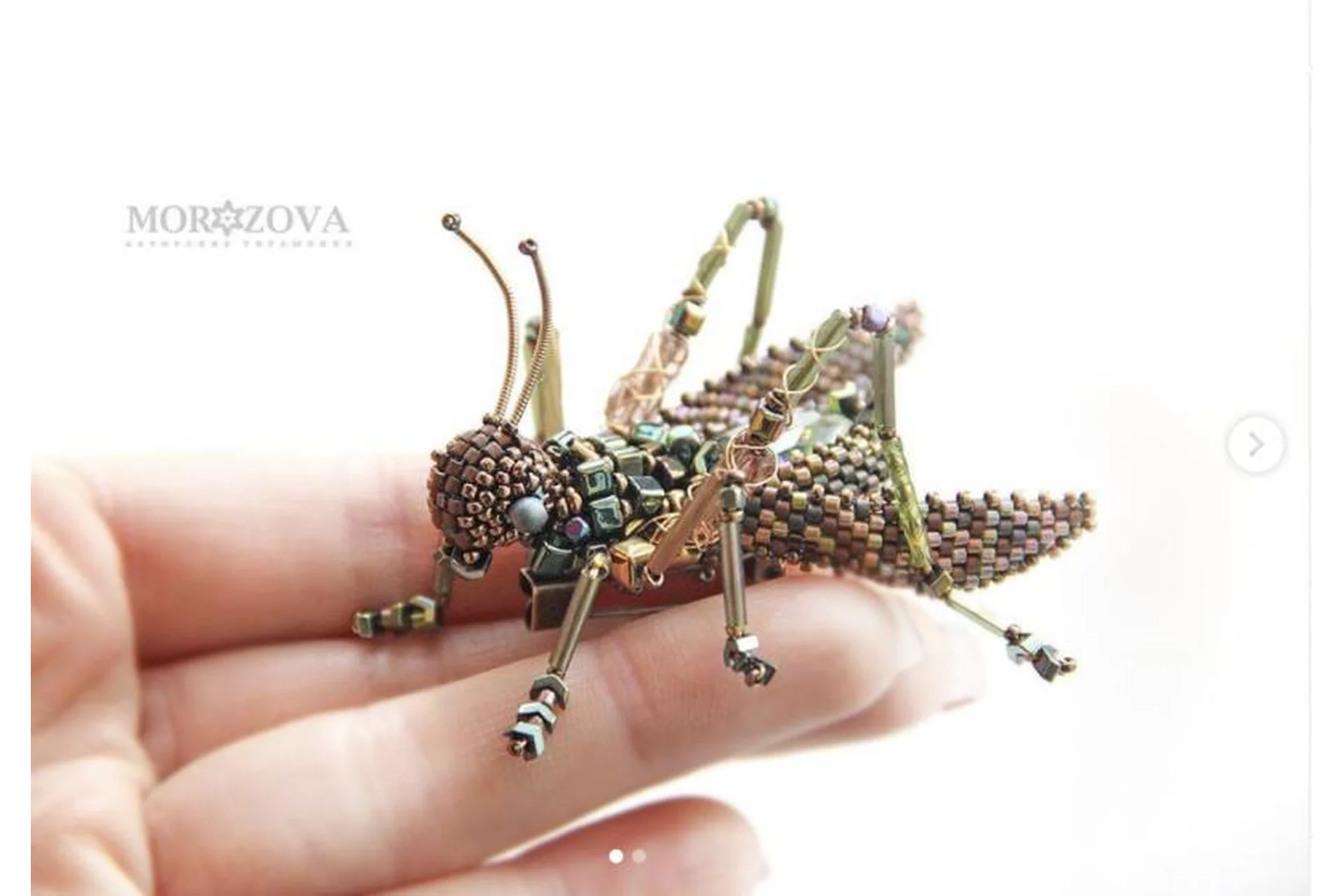 Кузнечик (Александра Морозова), фото 1 из 1.