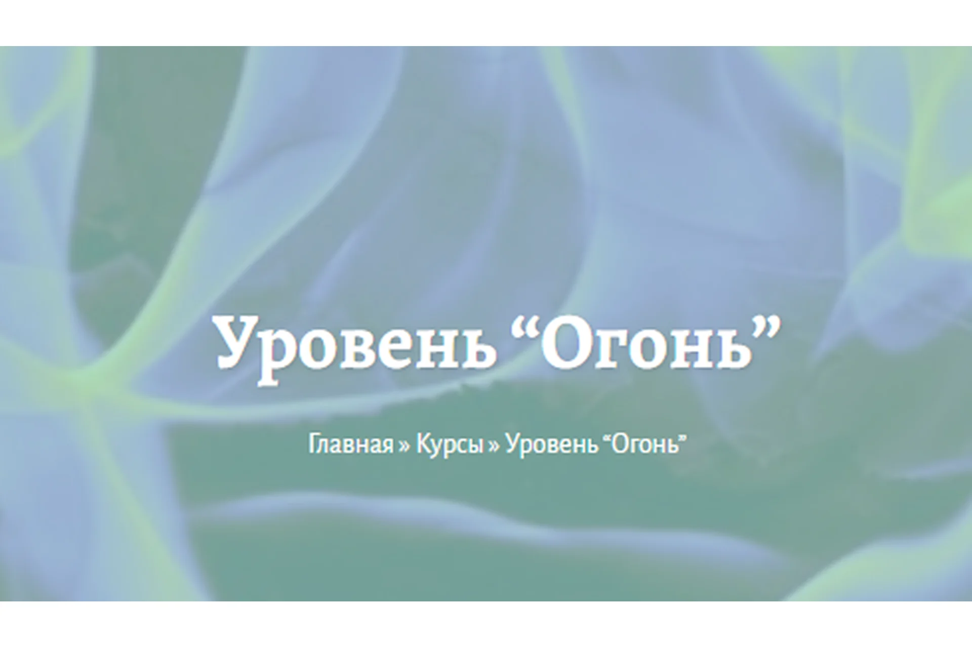 Уровень Огонь (Елена Миргородская,  Станислав Лосев), фото 1 из 1.