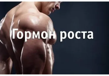 [et-pro.ru] Рост мышц. Гормон роста