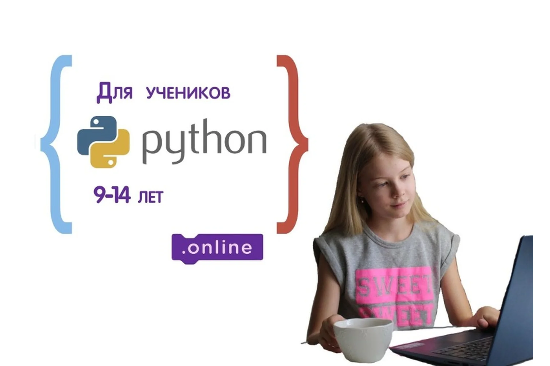 Python для детей 9-14 лет. Пакет «Ученик Pro» (Денис Голиков), фото 1 из 1.