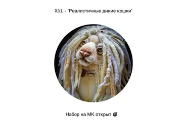 Реалистичные дикие кошки (Янина Линк)