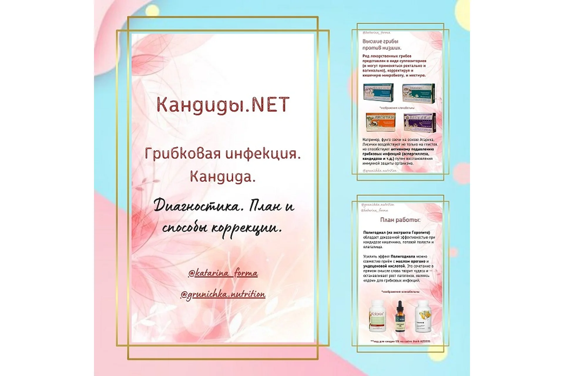 Руководство Кандиды.net (Катерина Форма), фото 1 из 1.