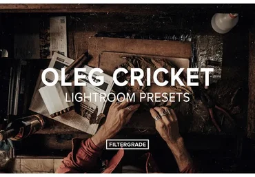 Vintage Lightroom Presets (Oleg Cricket)