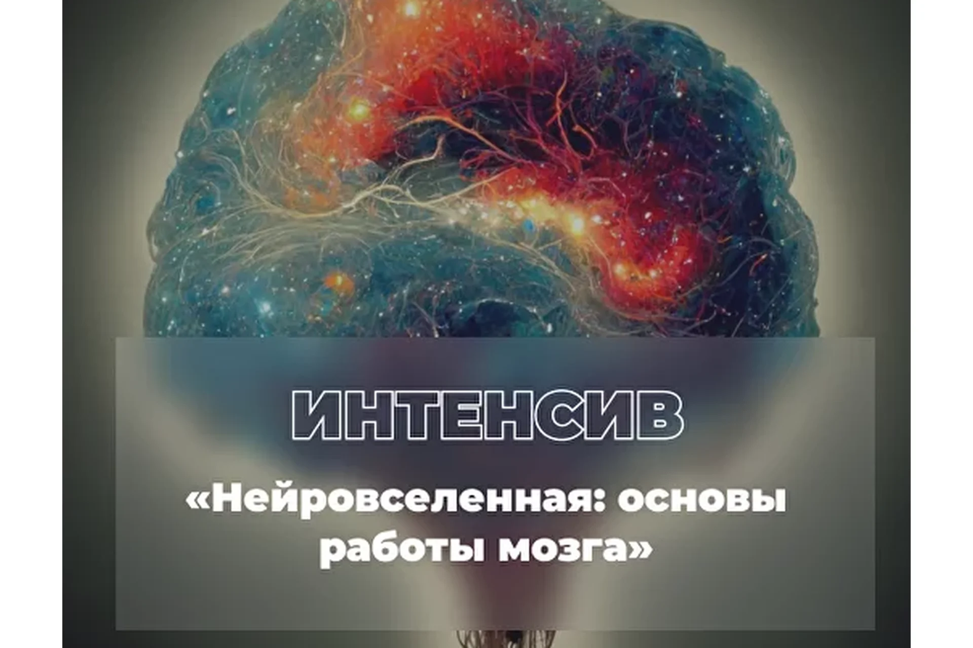 Нейровселенная: основы работы мозга (Екатерина Винник), фото 1 из 1.