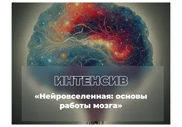 Нейровселенная: основы работы мозга (Екатерина Винник)