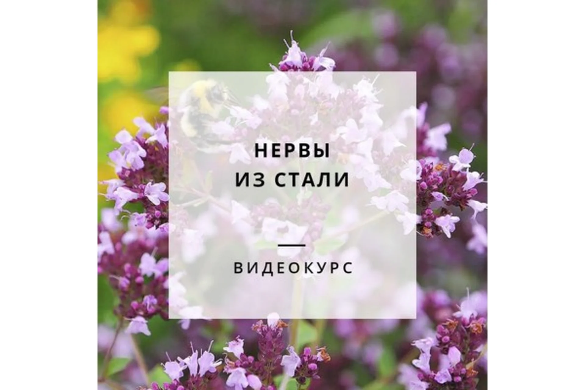 [Обитель] Нервы из стали, 2017 (Яна Горбовская), фото 1 из 1.