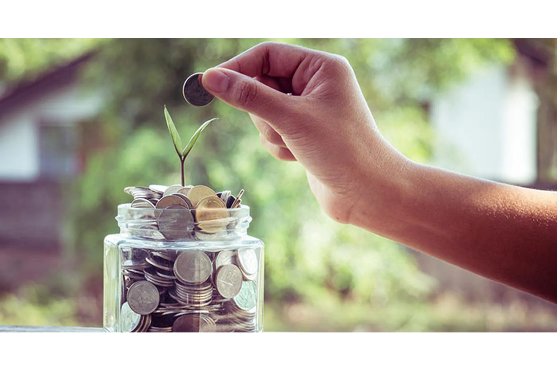 [Murmaripari] Финансы головного мозга (Марина Муравьева), фото 1 из 1.