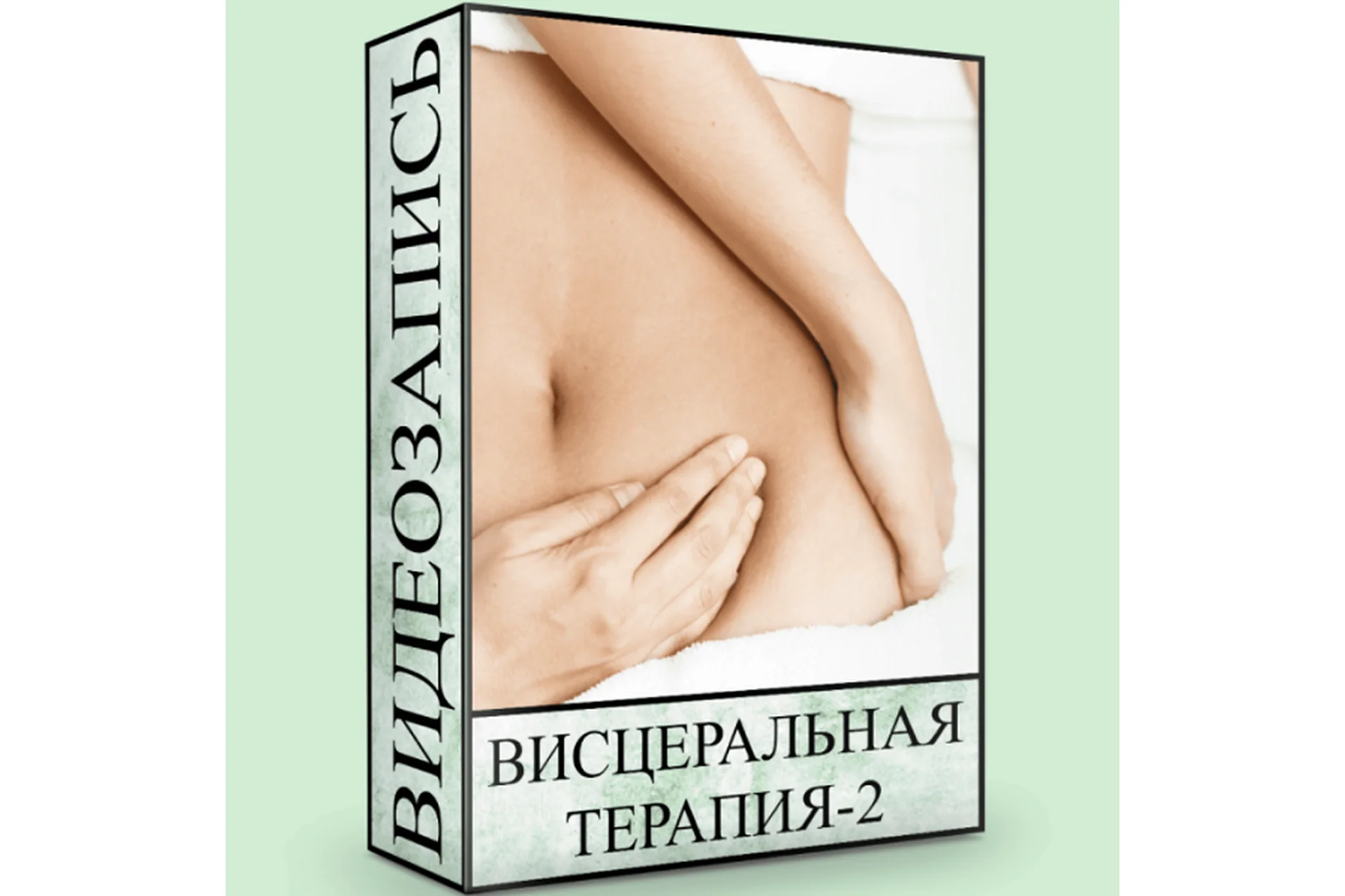 Висцеральная терапия - 2 (Людмила Малышева), фото 1 из 1.