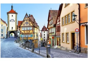 История идей (Елена Веселаго)