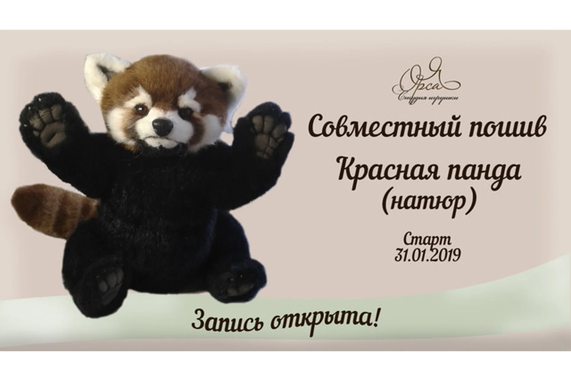 Красная панда (Янина Орса), фото 1 из 1.