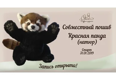 Красная панда (Янина Орса)