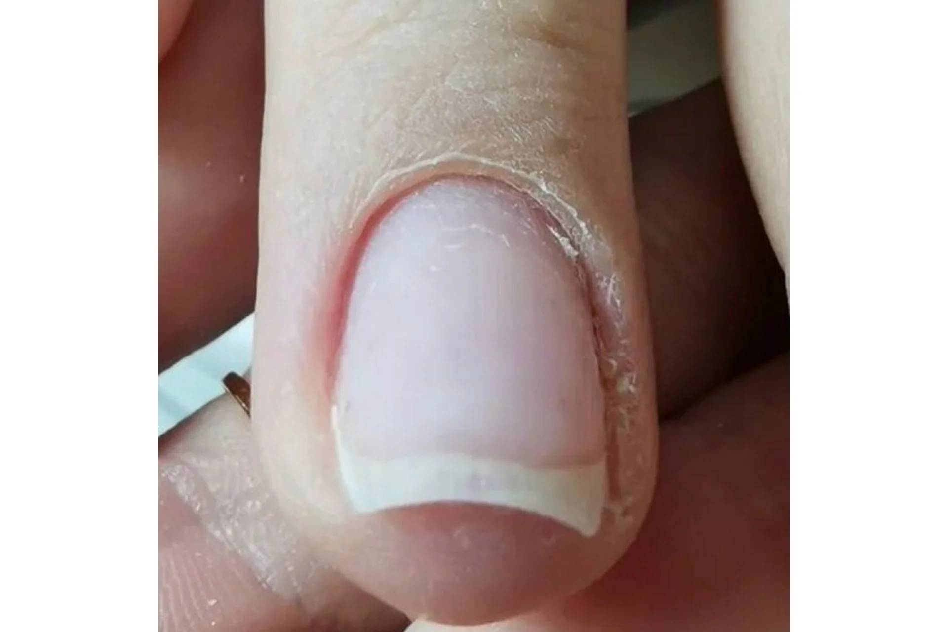 [parisnail] Энциклопедия аппаратного маникюра (Татьяна Свобода), фото 1 из 1.