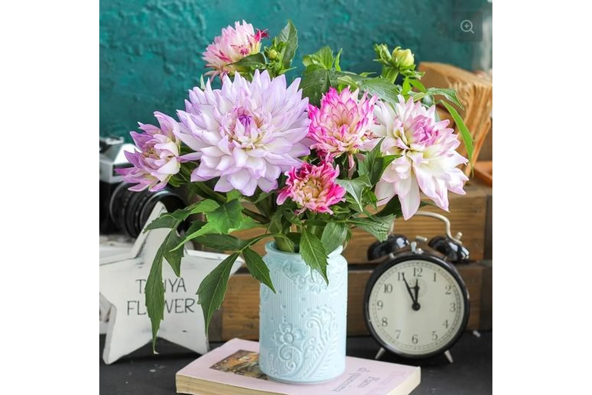 Георгин Crazy Love (tanyaflower), фото 1 из 1.