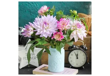 Георгин Crazy Love (tanyaflower)