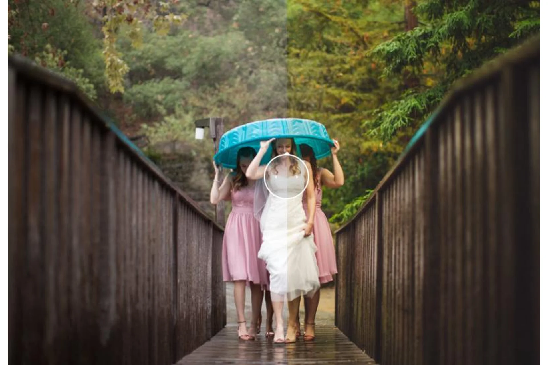 [dvlop] Теплые свадебные пресеты. Companion Cube dvlop V2-2019 (Jeff Newsome), фото 1 из 1.