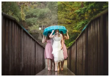 [dvlop] Теплые свадебные пресеты. Companion Cube dvlop V2-2019 (Jeff Newsome)