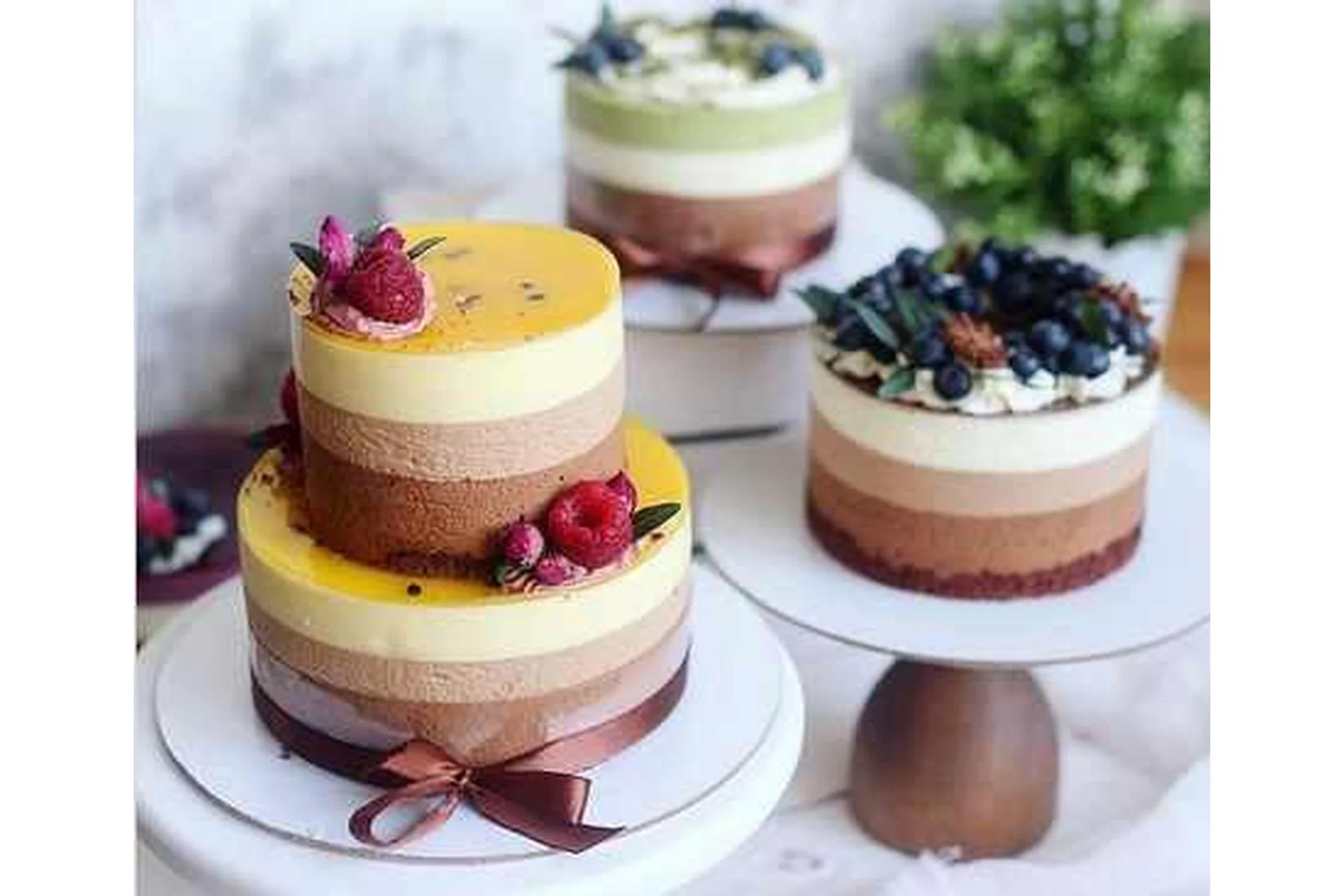 [Nezabudka Cake] Бенто-торты «Три шоколада». Программа «Простая» (Алина Селиванова), фото 1 из 1.