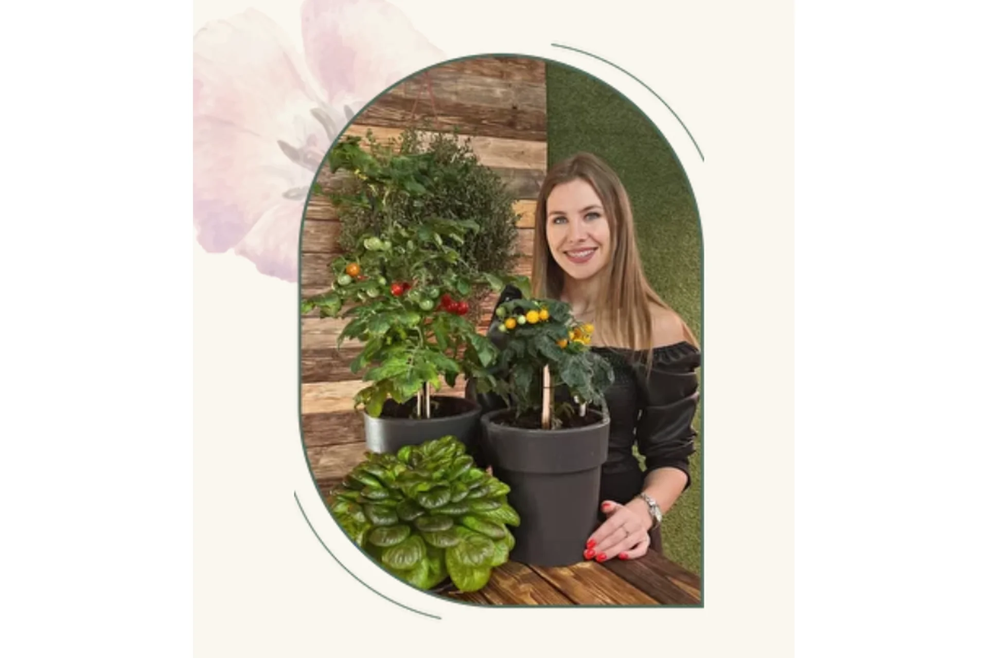 Рассада без досады. Овощная + цветочная рассада (Анна Акинина), фото 1 из 1.