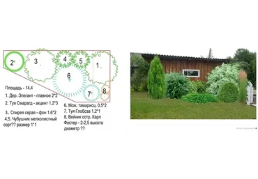 Курсы и лекции для устройства красивого сада по правилам дизайна (Наталья Мягкова)