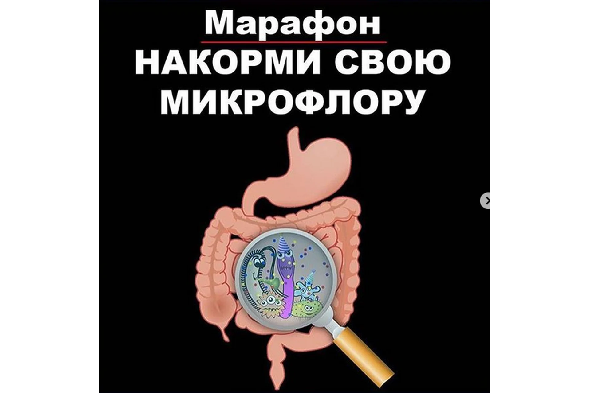 Марафон «Накорми свою микрофлору» (pishevaya.alhimiya), фото 1 из 1.