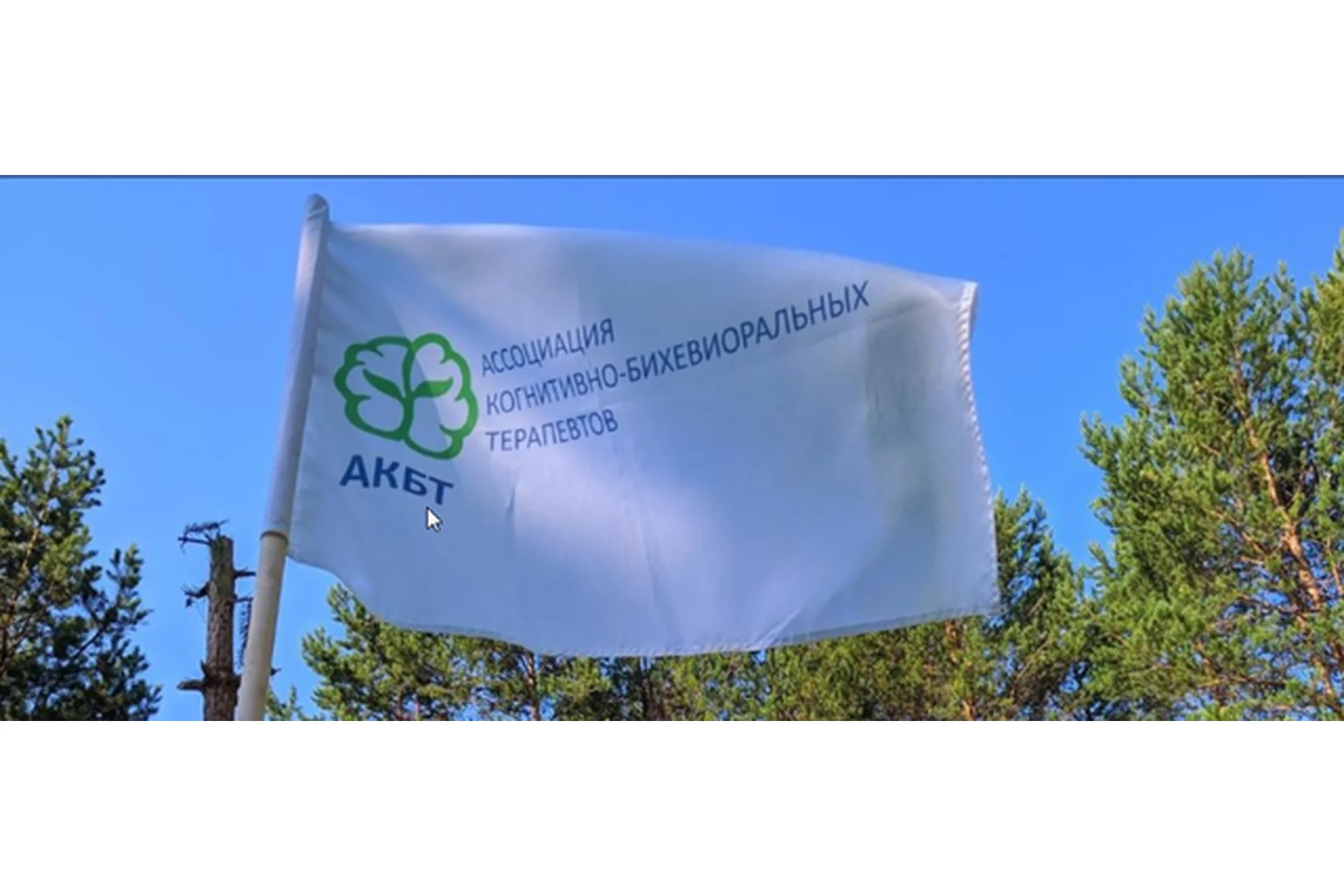 Преодоление терапевтических тупиков с помощью схема-терапии (Джоан Фаррелл, Айда Шоу), фото 1 из 1.