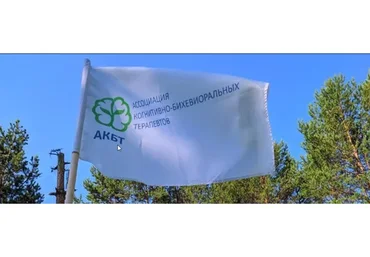 Преодоление терапевтических тупиков с помощью схема-терапии (Джоан Фаррелл, Айда Шоу)