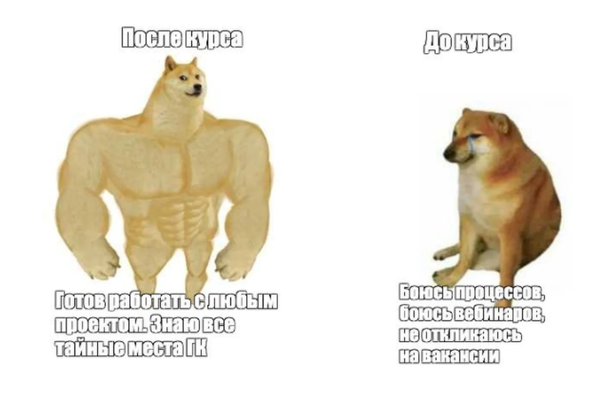 Геткурс: от новичка до профи. Тариф «Идеальный» (Екатерина Штук), фото 1 из 1.