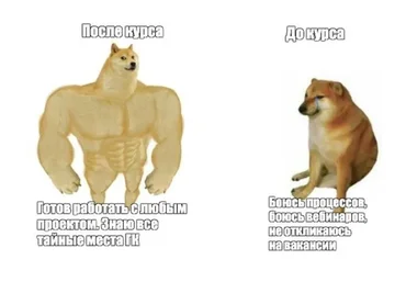 Геткурс: от новичка до профи. Тариф «Идеальный» (Екатерина Штук)